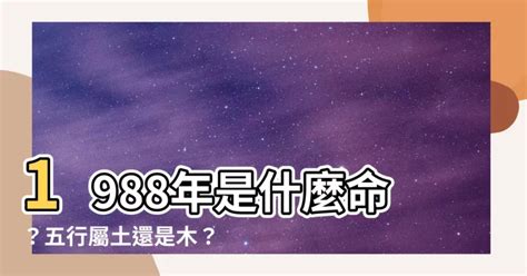 1988什麼龍|【1988什麼龍】1988年是什麼命？五行屬土還是木？與什麼屬相。